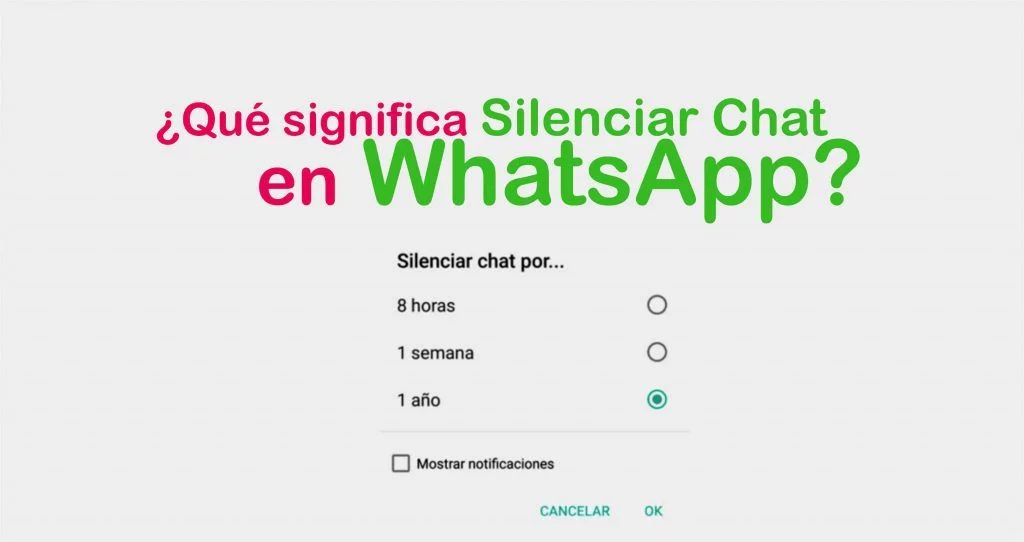 ¿Qué significa en WhatsApp silenciar chat? 1 que significa en whatsapp silenciar chat