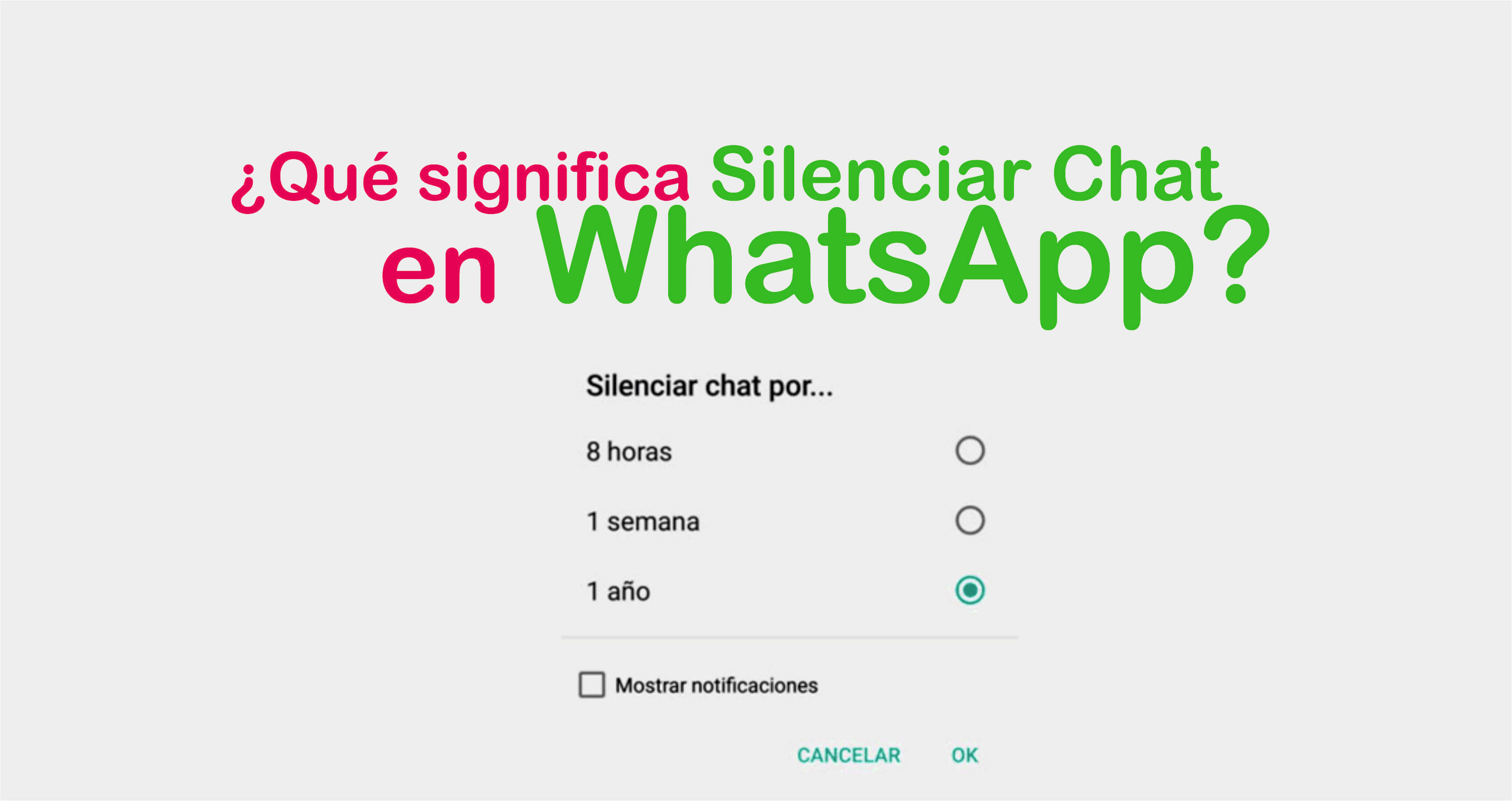Whatsapp klik en chat