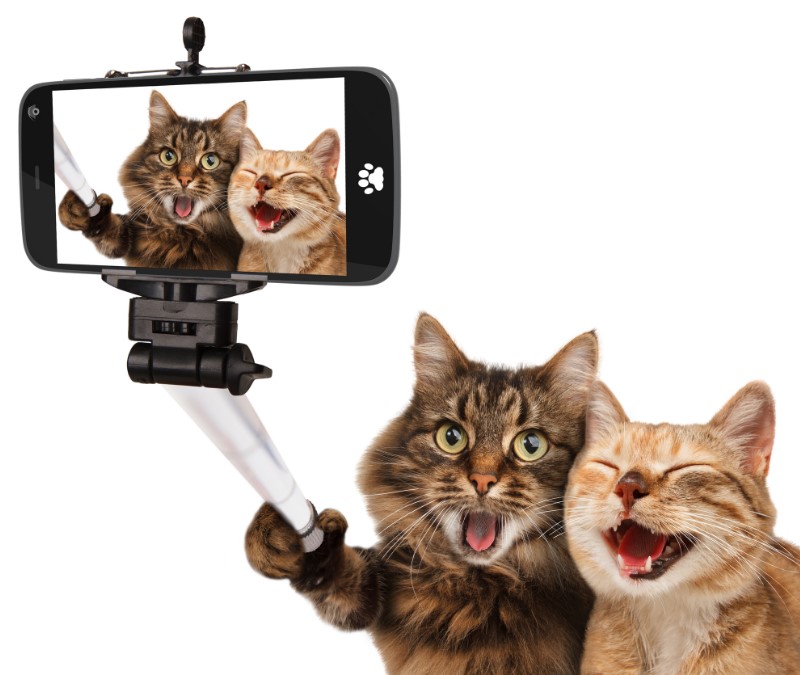 Las selfies mas divertidas