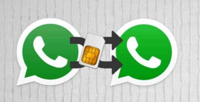 ¿Cómo cambiar de número en WhatsApp?
