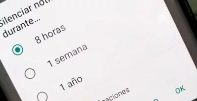 ¿Cómo silenciar WhatsApp? 28 Silenciar WhatsApp