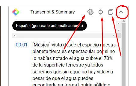 Cómo transcribir videos de YouTube a texto en 2 clicks 12